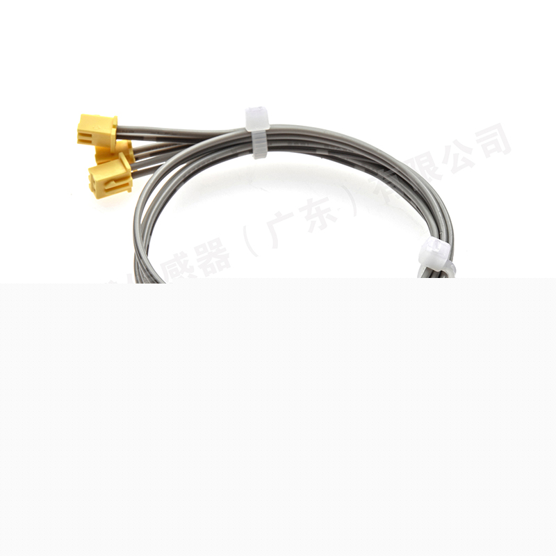 BMS temperature sensor